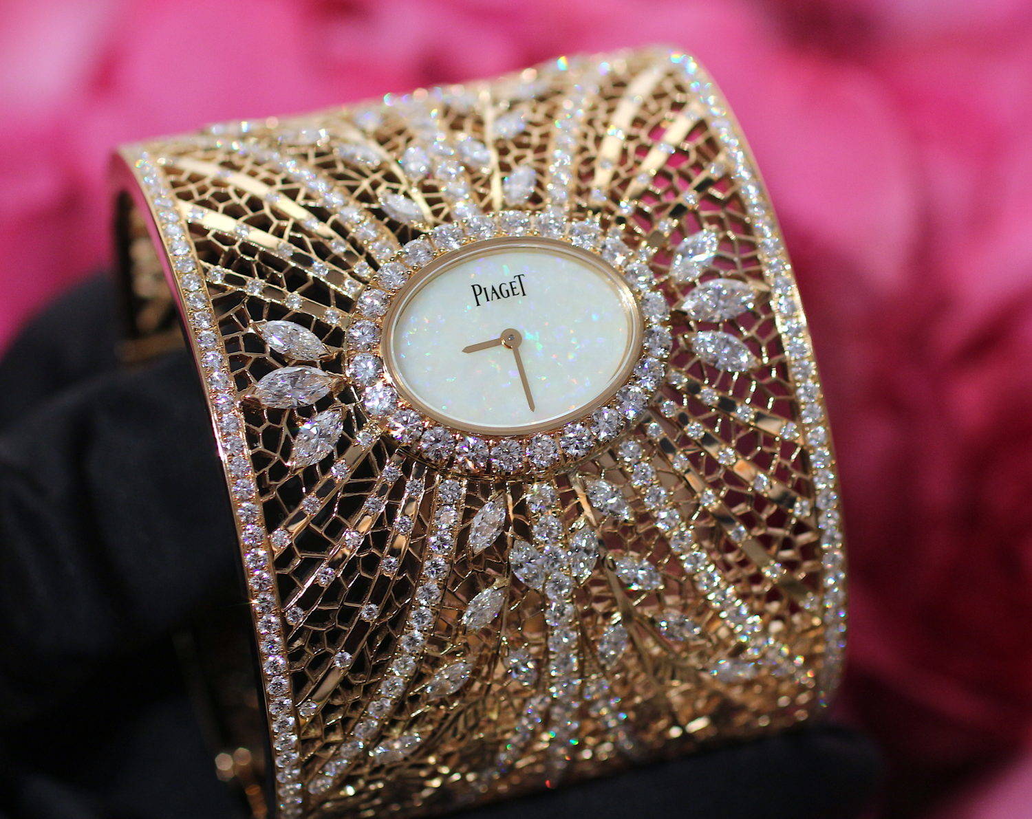 Sara Bran’s gold lace