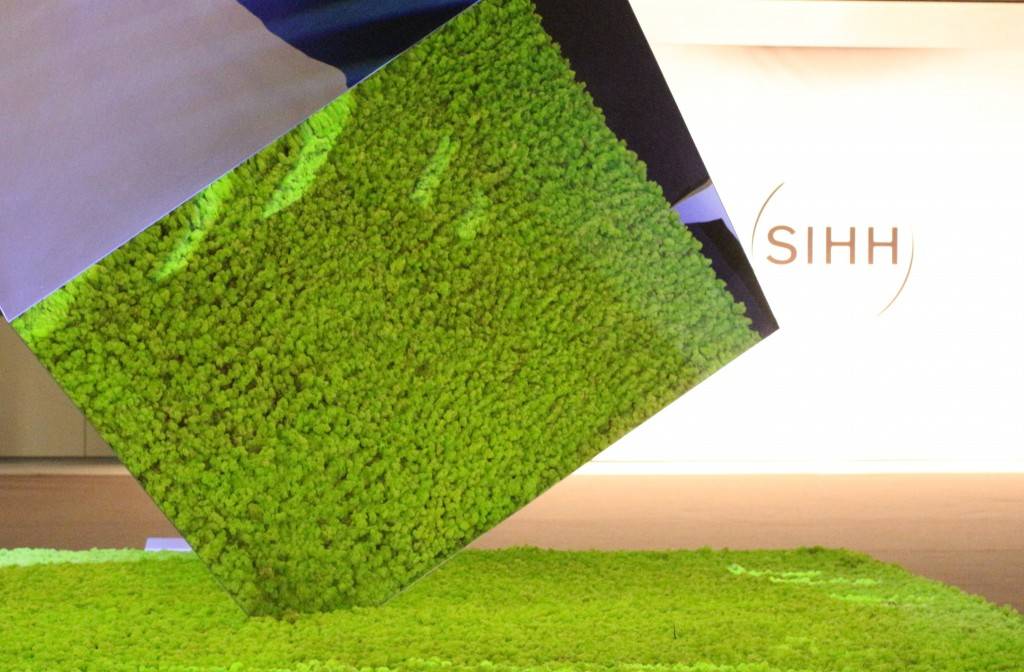 SIHH 2016: an amazing moment