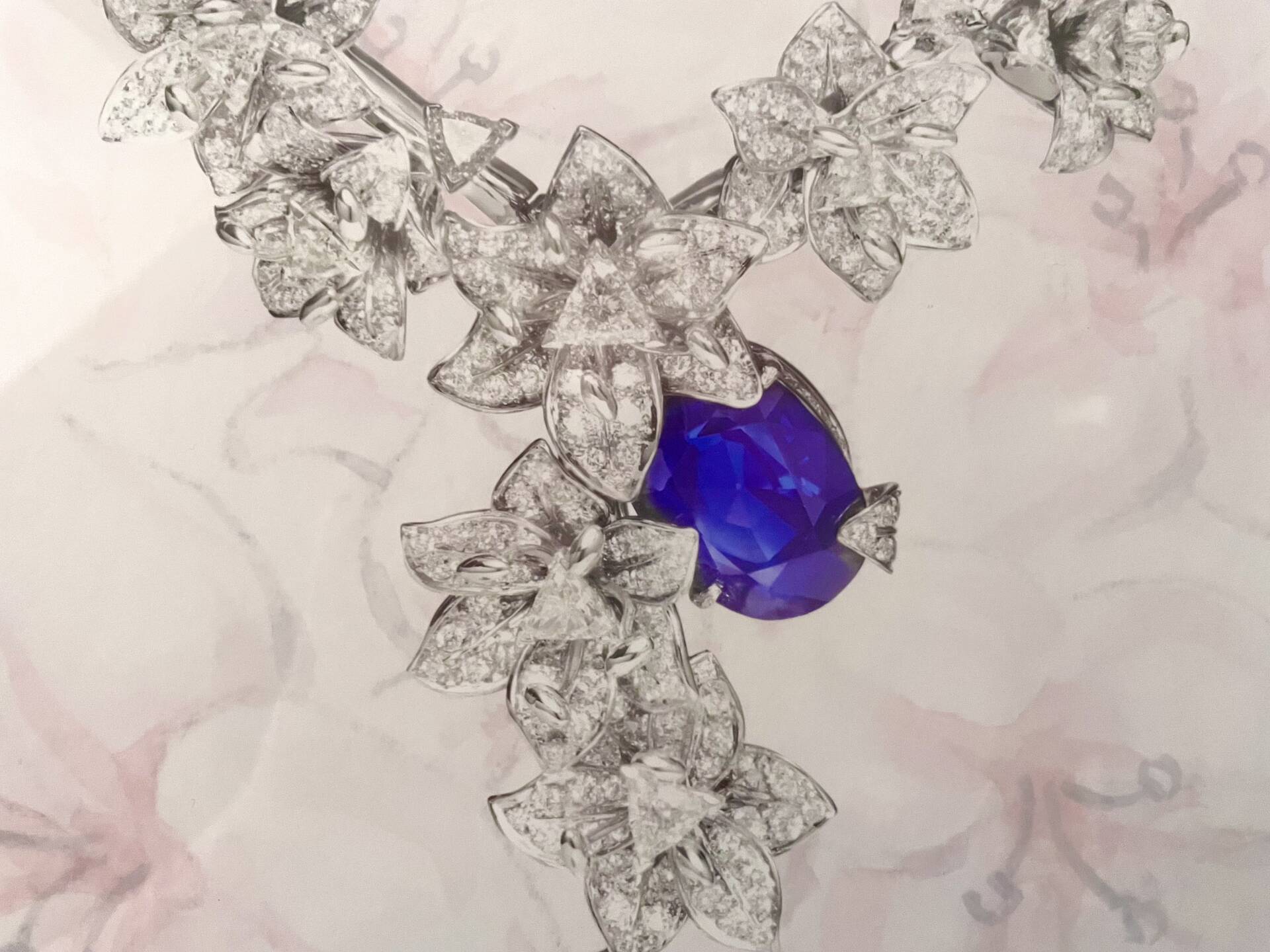 Rencontre avec Mellerio dits Meller